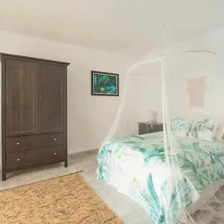 Gedel Ma Zen ポリス・デ・アボナ